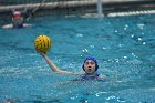 WWPolo vs CC  Wheaton College Women’s Water Polo compete in their sports inaugural match vs Connecticut College. - Photo By: KEITH NORDSTROM : Wheaton, water polo, inaugural